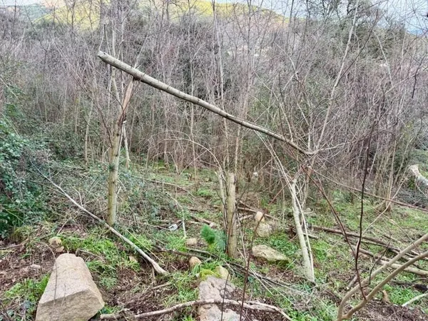 Terrain constructible