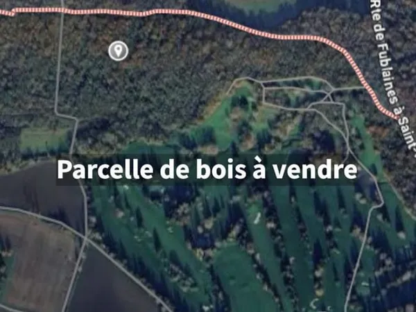 Terrain 6000 m²