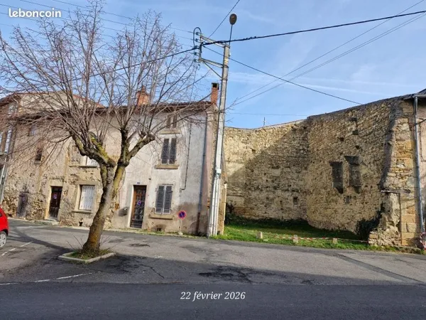 Maisons avec jardin à Billom ( 63160)