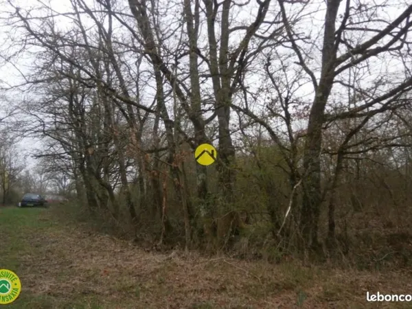 Terrain 2 404 m² Mezieres En Brenne