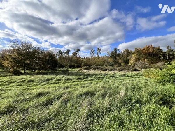 Terrain 1590 m²
