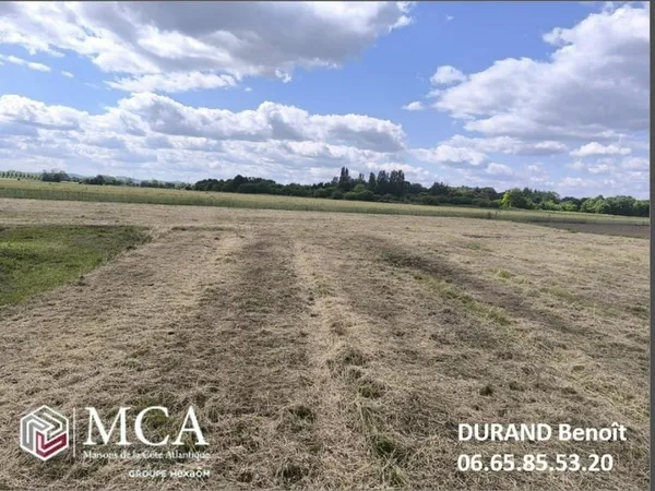 Terrain 1000 m²