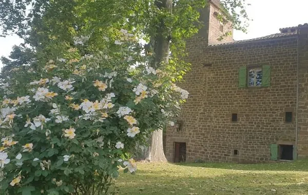 Château exceptionnel du XIe siècle avec maison d'hôtes — Près de Cordes-sur-Ciel & Albi, Tarn