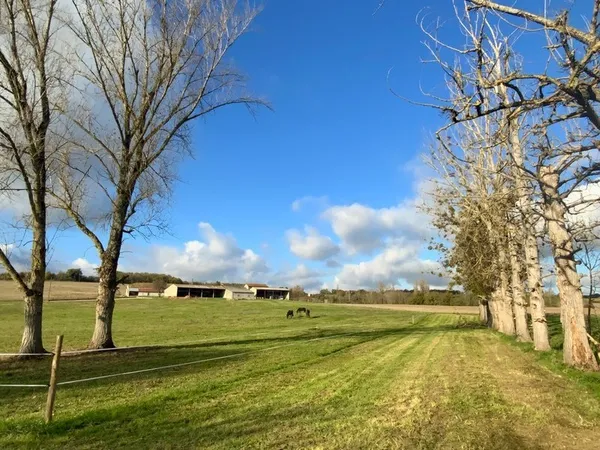 Maison pierre 5 hectares de terrain LAPERCHE (47)