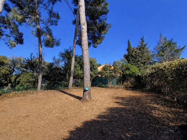 Terrain 494 m²