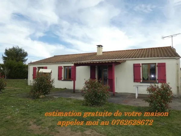 pavillon recent