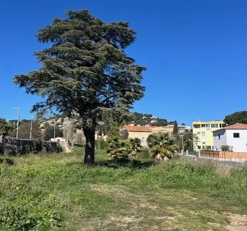 Terrain viabilise