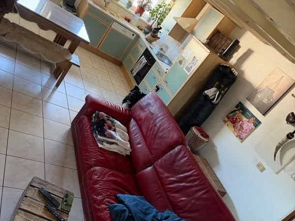 Appartement Location Friesen 3p 54m² 610€