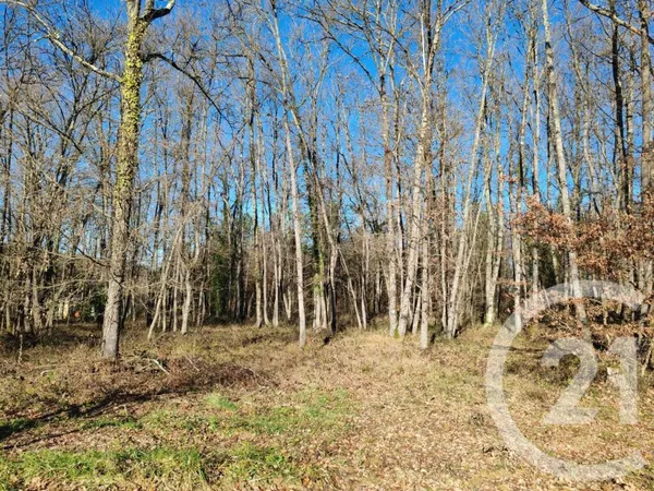 Terrain 746 m²