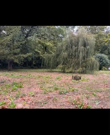 Parcelle 4000 m²