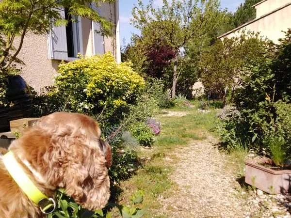 Loue maison hameau des Lombards