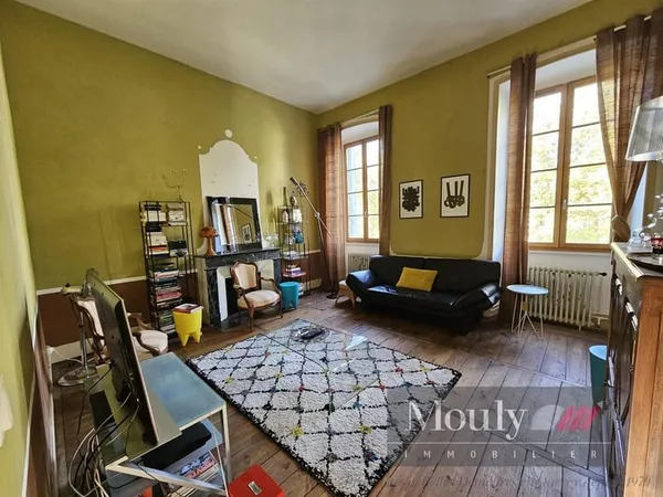 Superbe Appartement Bourgeois Boulevard Gambetta