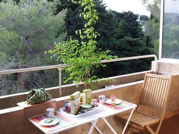 T1 meublé , surface 30 M2 + Terrasse environ 6M2
