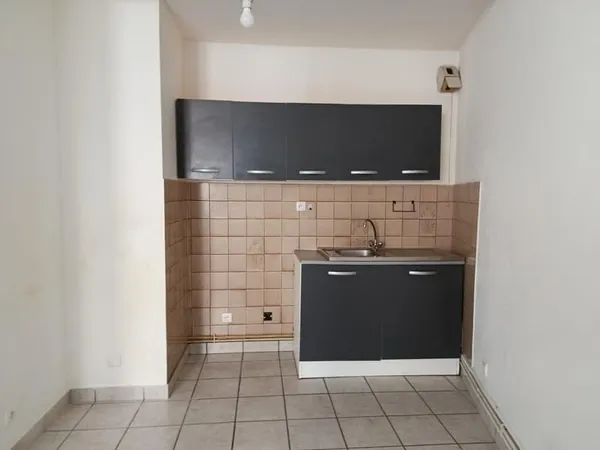 T1 19 avenue Berthelot L'Horme