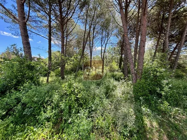 Prades Le Lez: Terrain à bâtir viabilisé de 520 m2