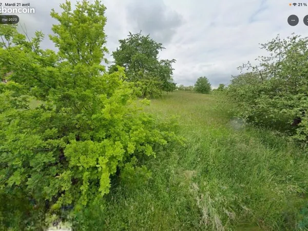Terrain à bâtir