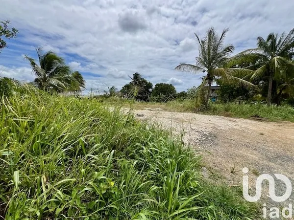 Terrain 2000 m²