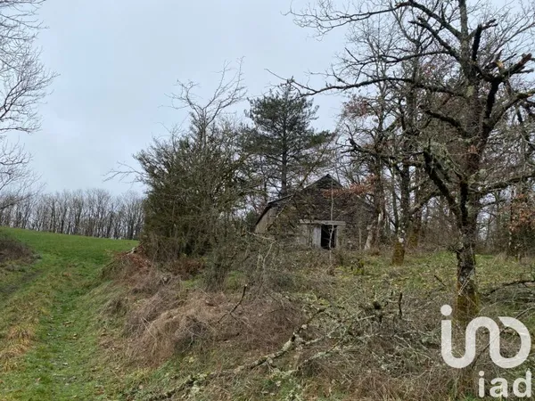 Maison 1 pièce