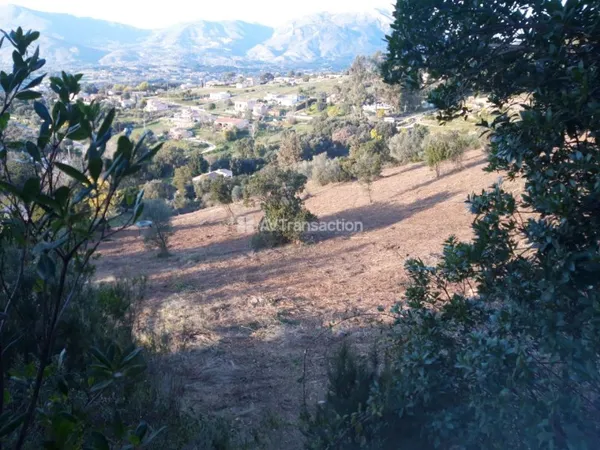 A Vendre Terrain Constructible sur la Plaine de Cuttoli