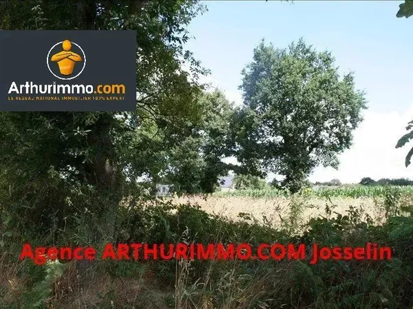 GUILLAC TERRAIN BOISE 4 000 M²