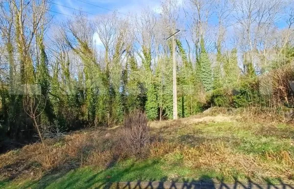 Terrain en individuel 557 m²
