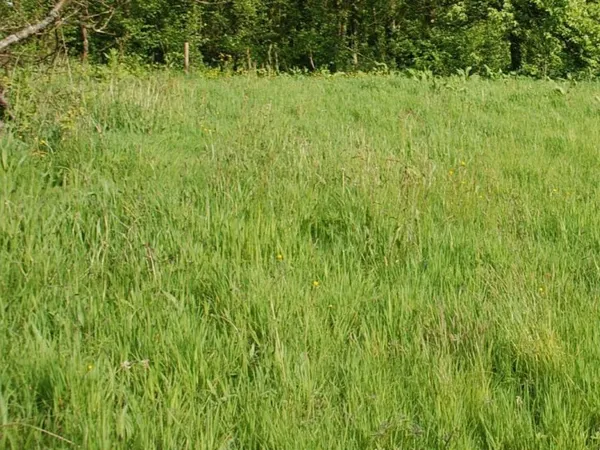 Terrain en individuel 391 m²