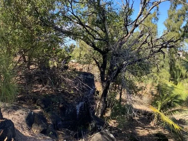 Terrain 1630 m² Saint-Pierre