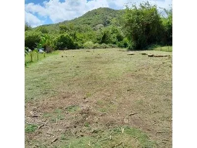 Très beau terrain plat