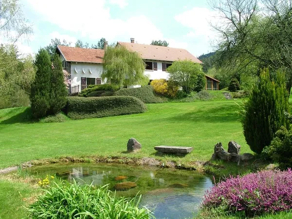 Saint-Dié-des-Vosges - Au pied du Kemberg - Propriété 270m2
