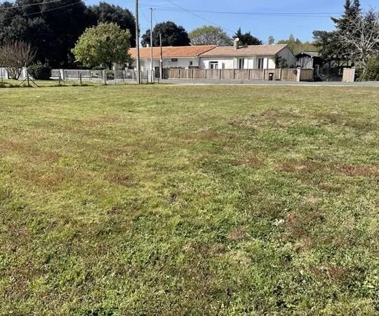 Terrain - 719m ²