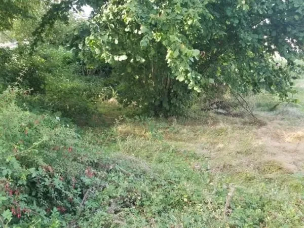 Terrain 785 m²