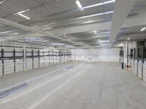 Local d'activité 3 433 m²