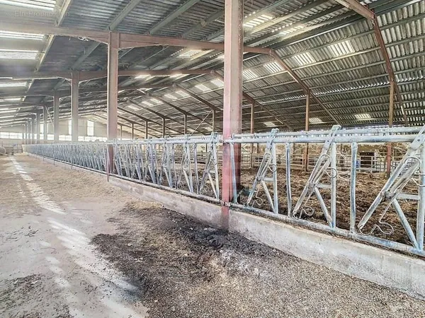 ALBI (81) - A CEDER Exploitation élevage polyvalente
