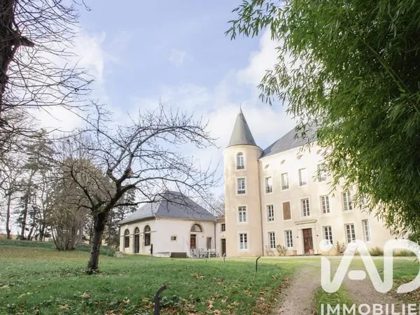 Vente Château 17 pièces