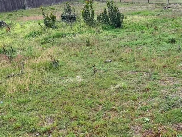 Terrain 600 m² Le Haillan