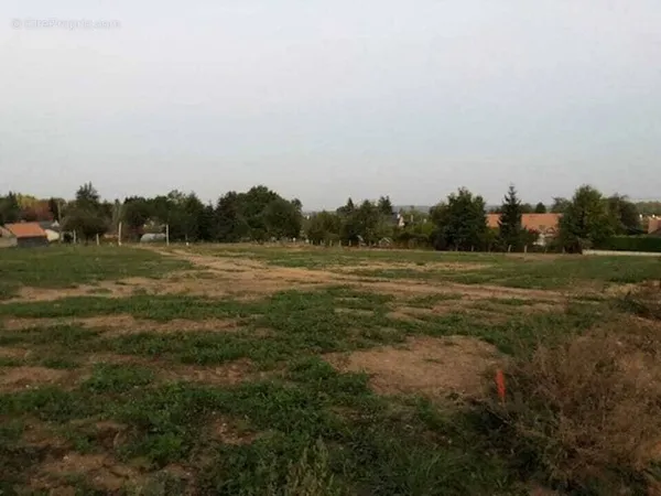 Terrain 750 m²