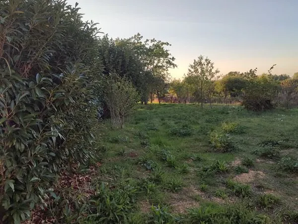 Terrain constructible viabilisé