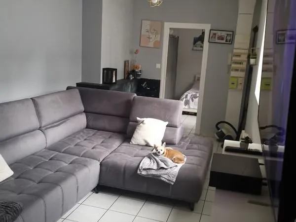 Bien immobilier de rendement Vente Sallaumines  400m² 210000€