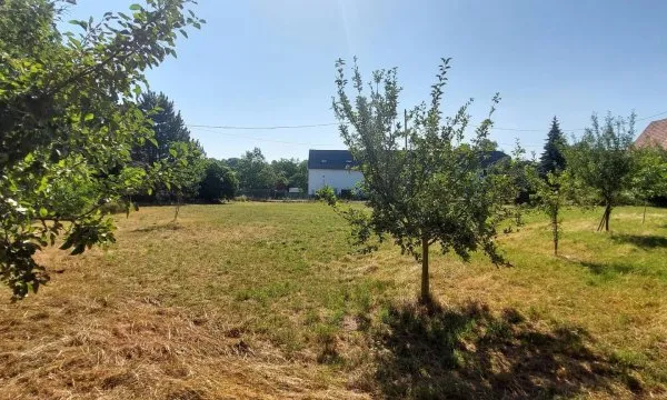 Beau terrain plat à bâtir de 8.6 ares à Dimbsthal