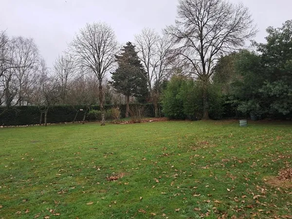 Terrain arboré et constructible