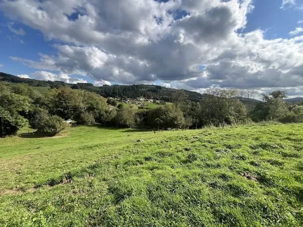 Terrain 2219 m²