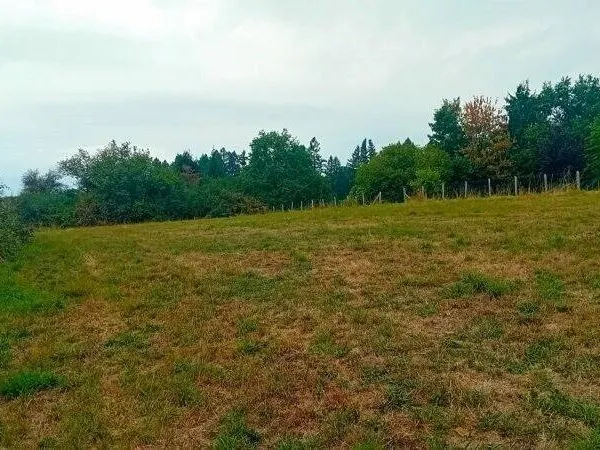 Terrain constructible 3129 m²