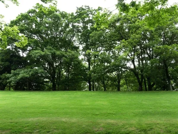 Terrain à bâtir de 300 m² à LIMEIL-BREVANNES (94)