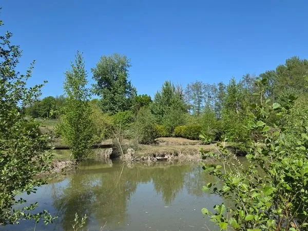 Terrain avec étang