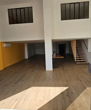 Local commercial/professionnel de 265m²