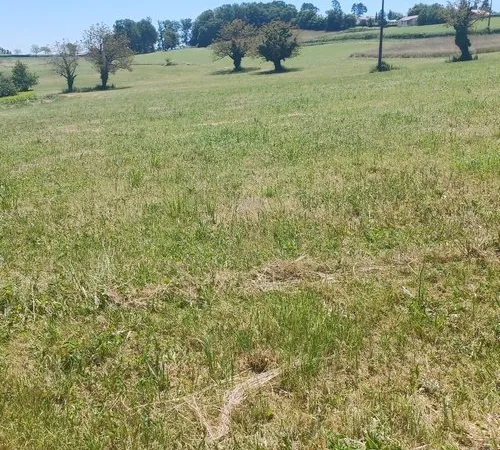 Terrain en individuel 7350 m²