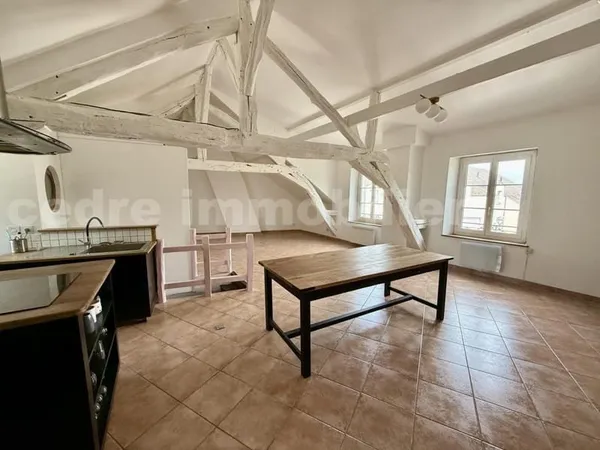 OLIVET CENTRE // APPARTEMENT