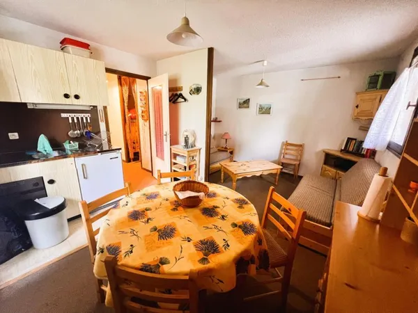 GRAND STUDIO CABINE AVEC CAVE ET PARKING PRIVATIF 31m2