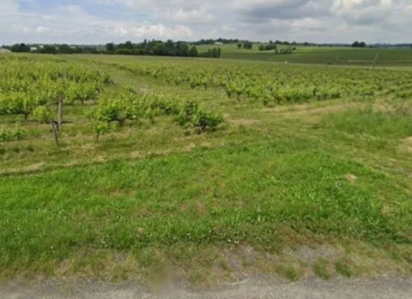 Terrain 850 m²