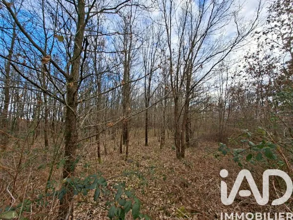 Terrain en individuel 12130 m²